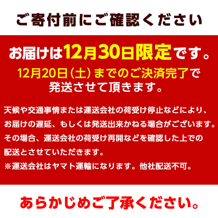 ＜12/30着限定＞神経締めでまるごと1本お届け！美人鰤 (1本・約5kg) 美人ブリ 美人鰤 ぶり ブリ 鰤 神経締め ブランド魚 獲れたて 鮮魚 まるごと 冷蔵 海の直売所 大分県 佐伯市 ＜離島配送不可＞ 【AS130】【海べ】