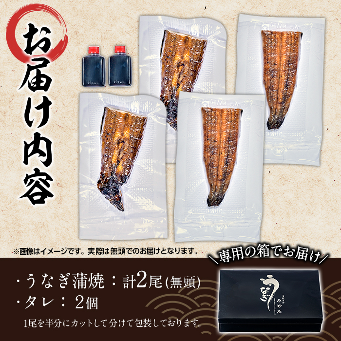 国産 うなぎ蒲焼 無頭(計2尾) ウナギ 鰻 蒲焼き うな重 ひつまぶし タレ 魚 冷凍 大分県 佐伯市【DH259】【(株)ネクサ】