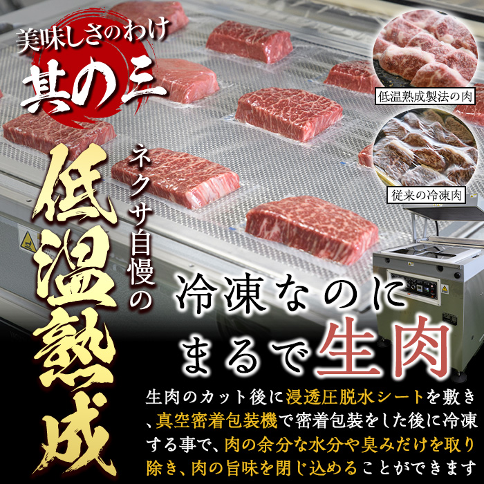 ＜定期便・全6回 (2か月ごとの発送)＞プライム牛 塩ハラミ(総量2.4kg) 定期便 小分け 牛肉 肉 ハラミ 牛はらみ 味付け 焼肉 塩 BBQ 冷凍 大分県 佐伯市【DH322】【ネクサ】