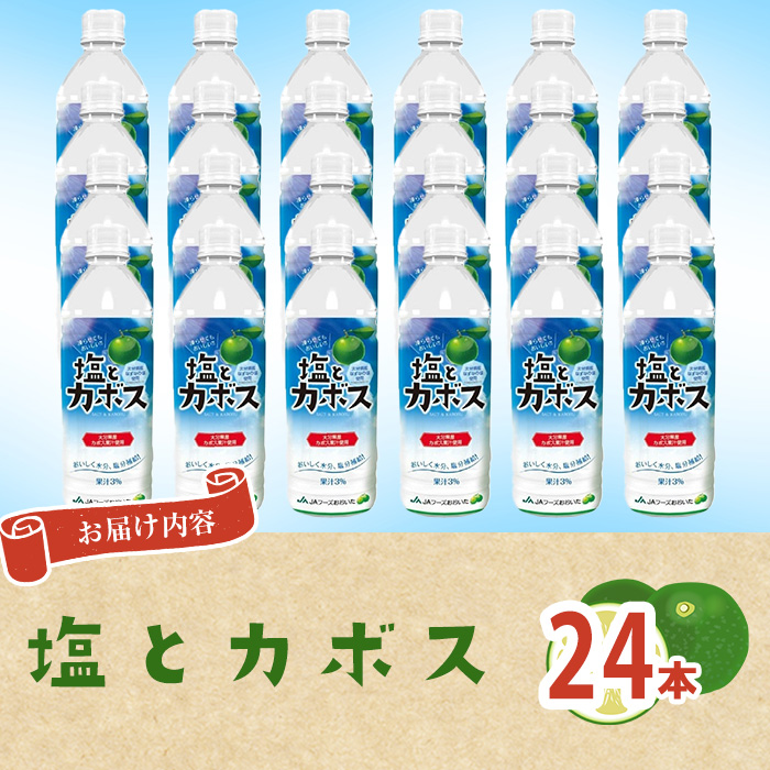 塩とカボス(24本) かぼす ドリンク ジュース 水分 塩分 補給 なずなの塩 大分県産 特産品 大分県 佐伯市 防災 常温 常温保存【DT16】【全国農業協同組合連合会大分県本部】