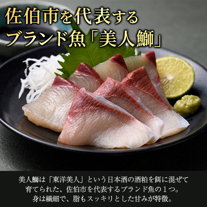 大分県産 美人鰤 刺身セット (計400g・刺身100g×4皿、醤油ダレ30ml×4個) 鰤 ブリ ぶり 鮮魚 冷凍 養殖 国産 大分県 佐伯市【GO010】【水元】