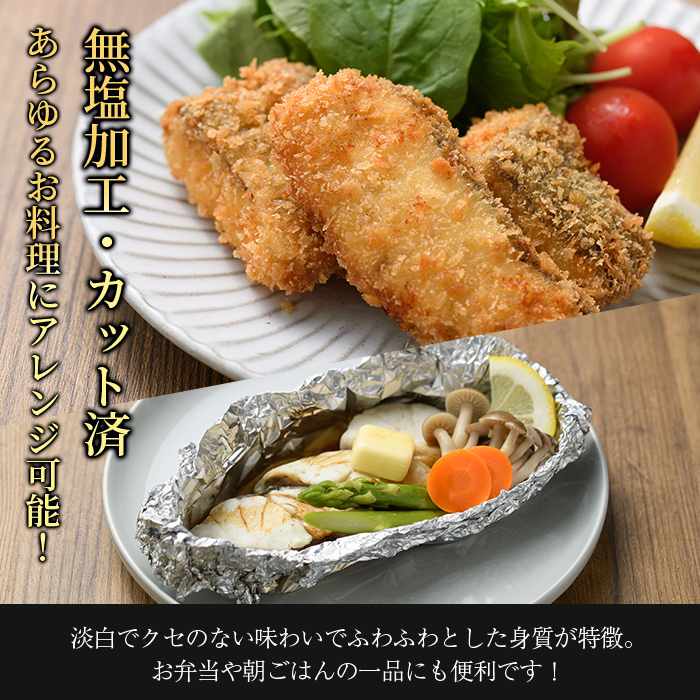 ＜定期便・全3回 (隔月)＞ 訳あり 骨取り 白身魚 切身 (総量3.6kg・計1.2kg×3回) 魚 切り身 小分け 骨取り カット済 無塩 簡単調理 冷凍 定期便 国産 大分県産 おかず おつまみ お弁当 にべ ニベ 【GO014】【(株)水元】