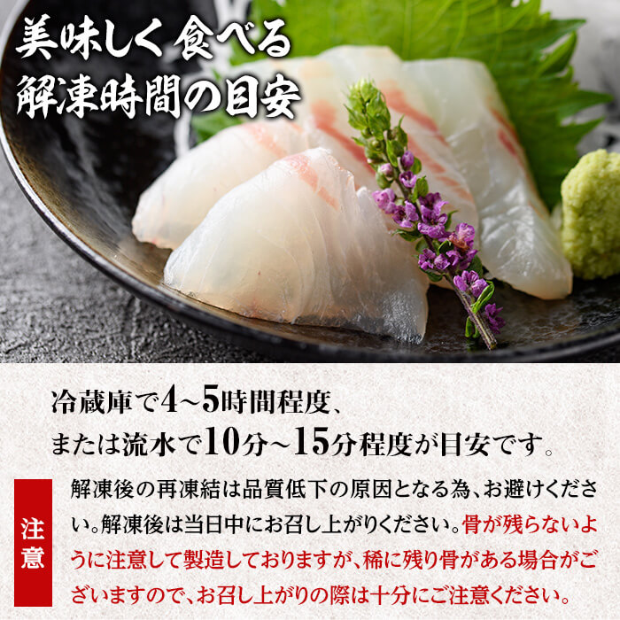 佐伯産 天然真鯛 刺身用ブロック (計500g) 魚 刺身 お刺身 鯛 タイ たい 真鯛 マダイ 鮮魚 海鮮 魚介 小分け カルパッチョ 塩焼き フライ 冷凍 国産 大分県産 おかず おつまみ 【GO015】【水元】