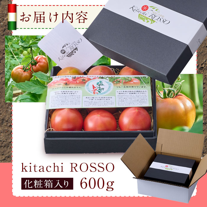 ＜先行予約受付中！2026年3月より順次発送予定＞塩熟トマト KitachiRosso (計600g) 糖度10度以上 塩トマト 塩とまと とまと トマト 野菜 大分県 佐伯市 九州産 国産 お取り寄せ 大分県 佐伯市【AK6h】【げんきファーム】
