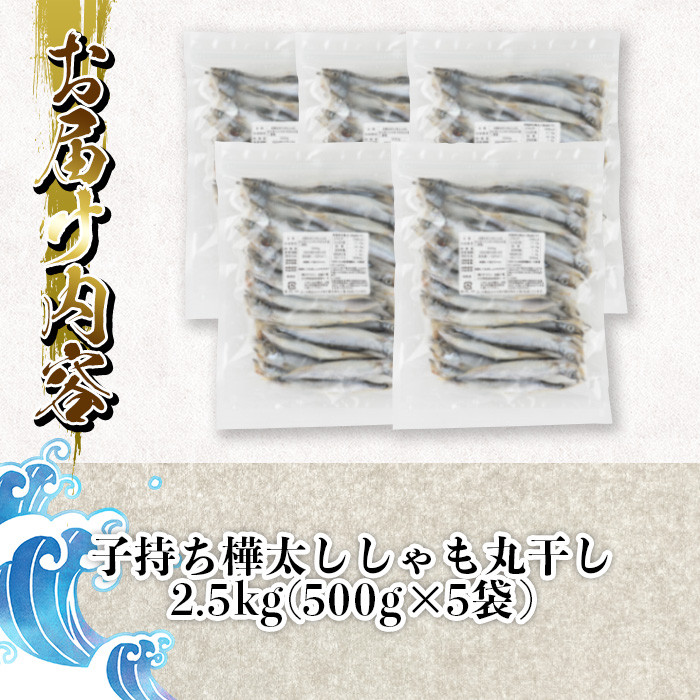 子持ち樺太ししゃも丸干し (計2.5kg・500g×5袋) 干物 ししゃも シシャモ 丸干し 魚 海鮮 冷凍 大分県 佐伯市【AP83】【(株)ヤマジン】