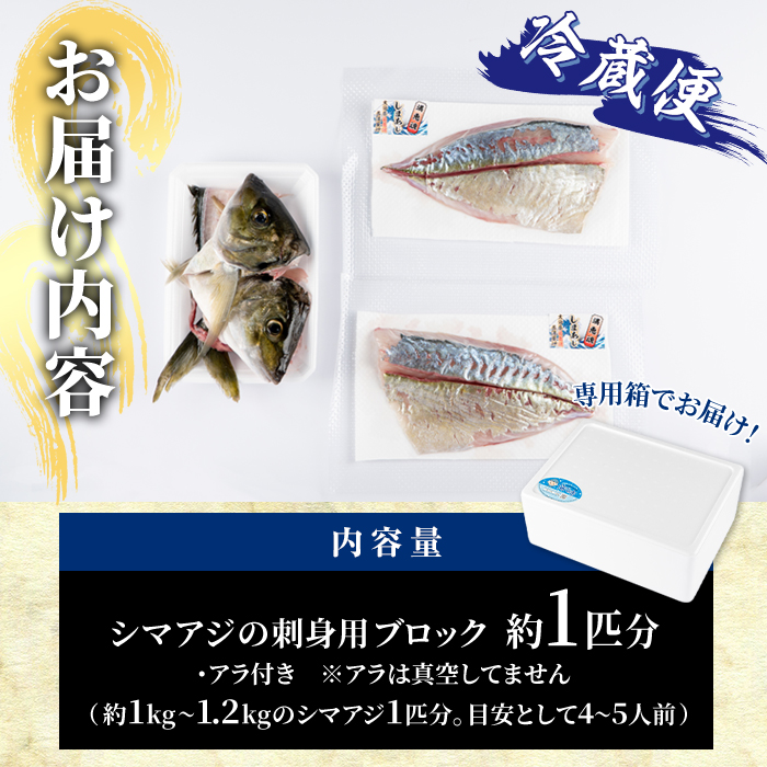 シマアジ 刺身用 ブロック 冷蔵(1匹分・4-5人前)シマアジ しまあじ 神経締め 獲れたて 鮮魚 ブロック 刺身 冷蔵 海の直売所 大分県 佐伯市【AS134】【海べ (株)】