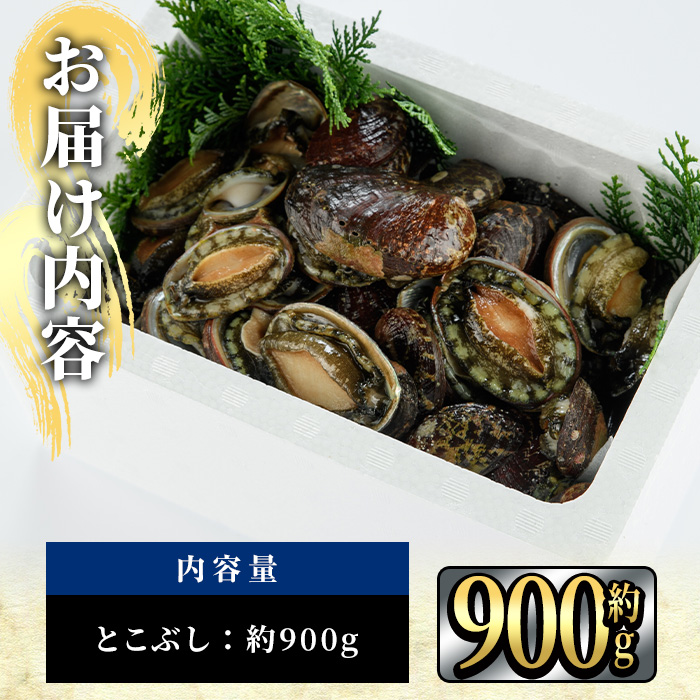 天然 トコブシ (約900g) 鮮魚 魚介 貝 トコブシ とこぶし 酒蒸し 網焼き バター焼き バーベキュー 獲れたて 冷蔵 海の直売所 大分県 佐伯市【AS82】【海べ】