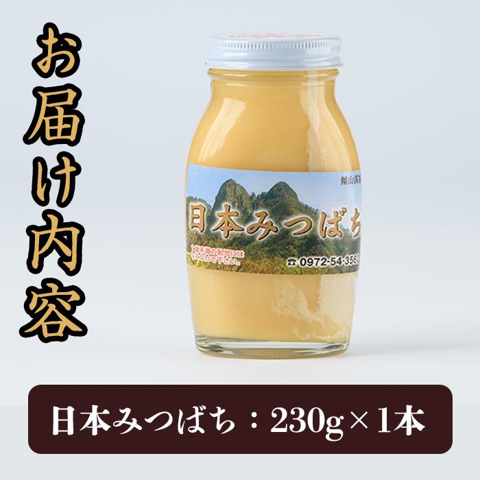 国産 はちみつ (230g) ハチミツ 蜂蜜 ロイヤルゼリー 調味料 スイーツ 多賀さん採蜜 大分県 佐伯市【AY65】【(公財)さいき農林公社】