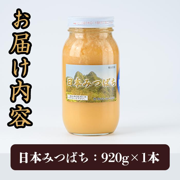 国産 はちみつ (920g) ハチミツ 蜂蜜 ロイヤルゼリー 調味料 スイーツ 多賀さん採蜜 大分県 佐伯市【AY73】【(公財)さいき農林公社】