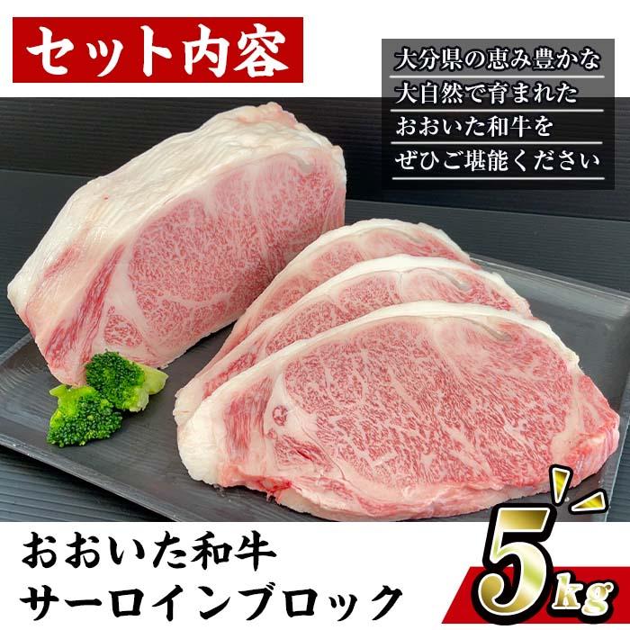 おおいた 和牛 サーロイン ブロック (5kg) 国産 豊後牛 ステーキ BBQ バーベキュー 惣菜 やきにく おかず 百年の恵み 大分県 佐伯市【BD192】【西日本畜産 (株)】