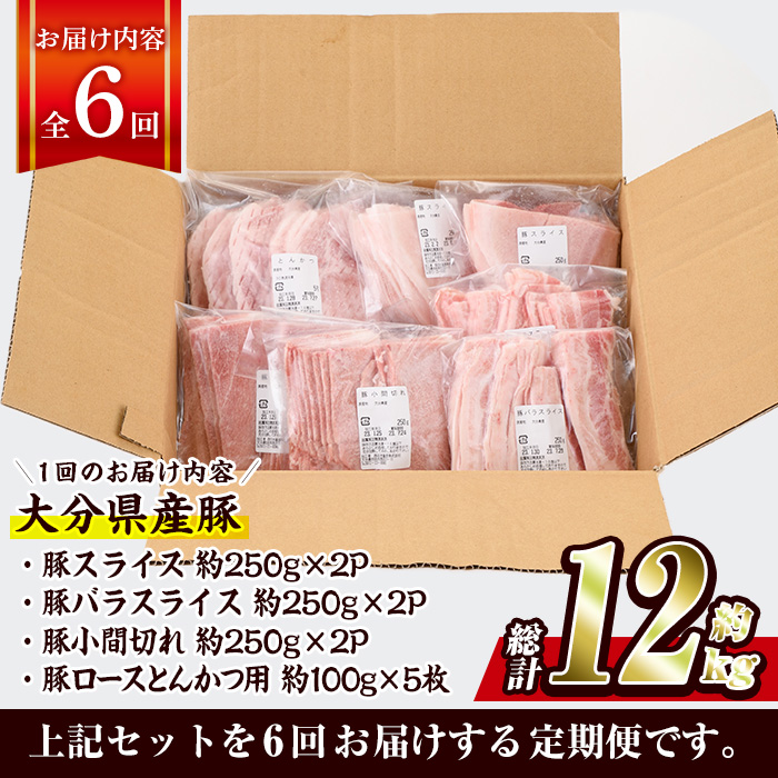 ＜定期便・全6回 (連続)＞豚肉 バラエティーパック (総量12kg・4種) 小分け 豚バラ スライス とんかつ ロース 豚こま しゃぶしゃぶ 鍋 大分県 佐伯市【BD209】【西日本畜産】