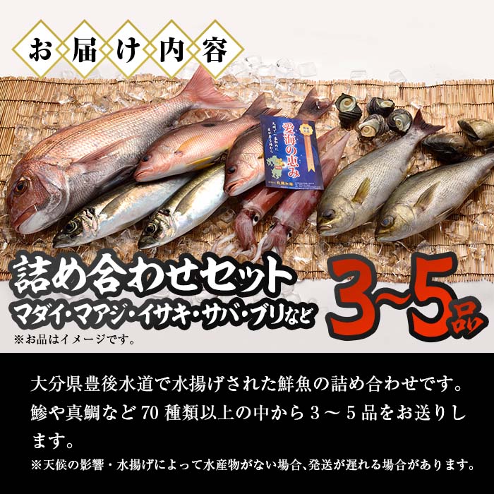 天然 鮮魚詰め合わせ (合計約2.8-3.2kg・3種以上) 直送 産直 漁師 魚 鮮魚 天然 マダイ 鯛 マアジ 鯵 イサキ サバ 鯖 ブリ 鰤 獲れたて 刺身 煮つけ 塩焼き 冷蔵 豊後水道 鮮魚【CS01】【 (有)丸昌水産】