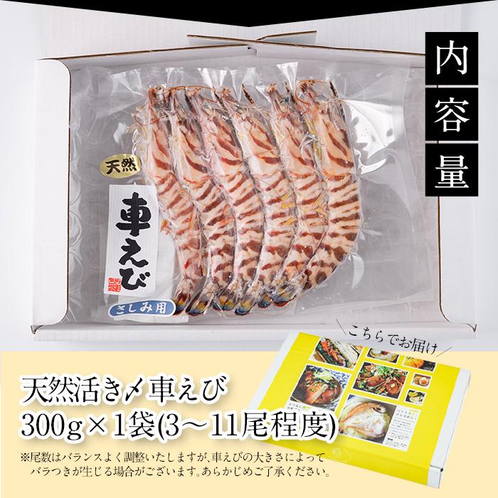 天然 活き〆車エビ 生食用 (計300g) エビ 海老 車海老 冷凍 刺身 さしみ 天ぷら 塩焼 バーベキュー 国産 大分県産 大分県 佐伯市 やまろ渡邉【DL18】【鶴見食賓館】