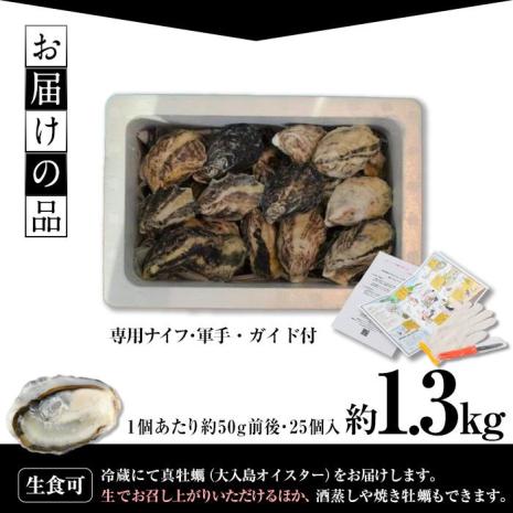 真ガキ 大入島オイスター (約1.3kg) 牡蠣 かき カキ 貝 海鮮 魚介類 冷蔵 生食可 シングルシード 養殖 大分県 佐伯市【ED08】【(合)新栄丸】