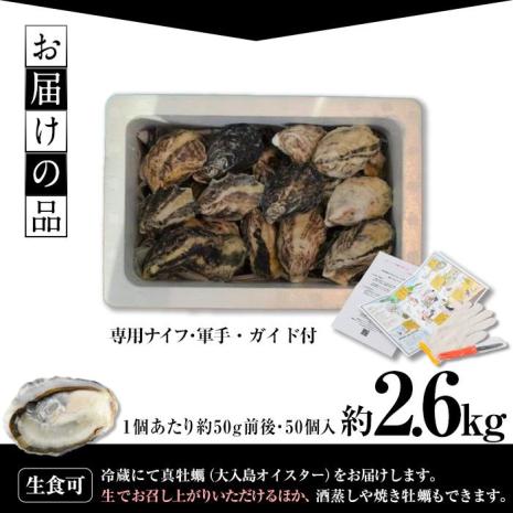 真ガキ 大入島オイスター (約2.6kg) 牡蠣 かき カキ 貝 海鮮 魚介類 冷蔵 生食可 シングルシード 養殖 大分県 佐伯市【ED09】【(合)新栄丸】