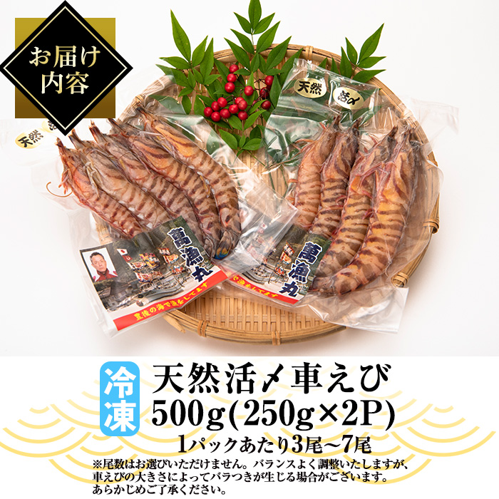 漁師直送! 天然活〆車えび (計500g・250g×2P) エビ 海老 車海老 エビフライ 冷凍 真空 魚介類 大分県 佐伯市 大分県産【EJ01】【萬漁丸】