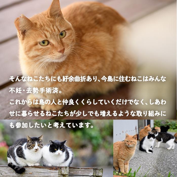 深島の猫へ寄付と深島猫グッズ (Bプラン・計5種) 猫 ネコ ねこ 寄附 カレンダー タオル  大分県 佐伯市【EK10】【でぃーぷまりん】