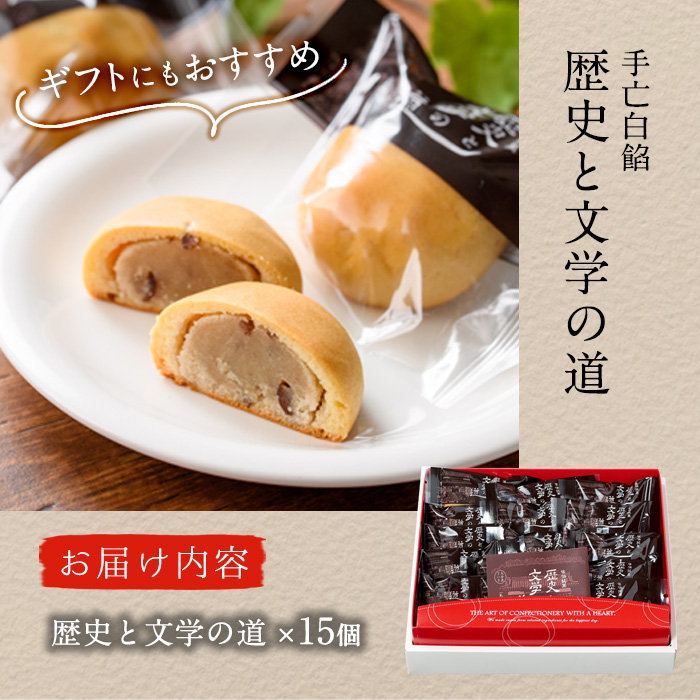 歴史と文学の道 (計15個)小豆 スイーツ スウィーツ 菓子 焼き菓子 和菓子 おやつ 詰め合わせ 個装 大分県 佐伯市【ER010】【(株)古川製菓】