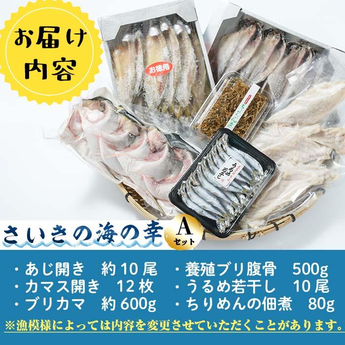 さいきの海の幸Aセット (6種) 鯵 カマス ブリカマ うるめいわし ちりめん 魚 干物 海産物 加工食品 セット 詰め合わせ 大分県 佐伯市【EW014】【(株)Up】