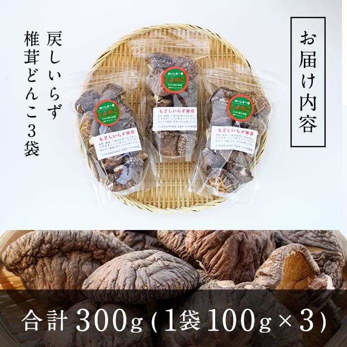 戻しいらず椎茸どんこ3袋 (計300g・100g×3袋) 原木栽培 干し椎茸 乾椎茸 しいたけ きのこ 出汁 大分県 佐伯市 【FR02】【かやの椎茸屋】