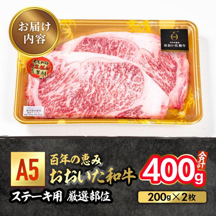 百年の恵み おおいた和牛 A5 ステーキ用 厳選部位 (計400g・200g×2枚) 国産 牛肉 肉 霜降り ロース 肩ロース サーロイン 和牛 ブランド牛 ステーキ 冷凍 大分県 佐伯市 【FS07】【 (株)トキハインダストリー】