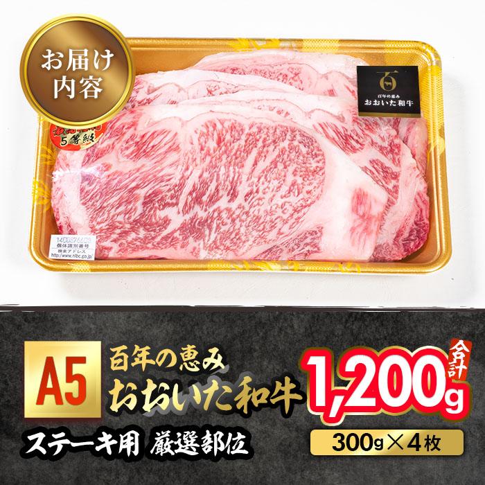 百年の恵み おおいた和牛 A5 ステーキ用 厚切り 厳選部位 (計1.2kg・300g×4枚) 国産 牛肉 肉 霜降り ロース 肩ロース サーロイン 和牛 ブランド牛 ステーキ 冷凍 【FS11】【 (株)トキハインダストリー】
