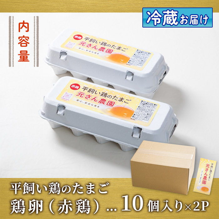 元さん農園 平飼い赤鶏のたまご (計20個・10個×2P) 元さん農園 卵 玉子 卵かけご飯 玉子焼き 平飼い 鶏 鶏卵 養鶏場直送 朝採れ 新鮮 大分県 佐伯市 【GE001】【 (株)海九】