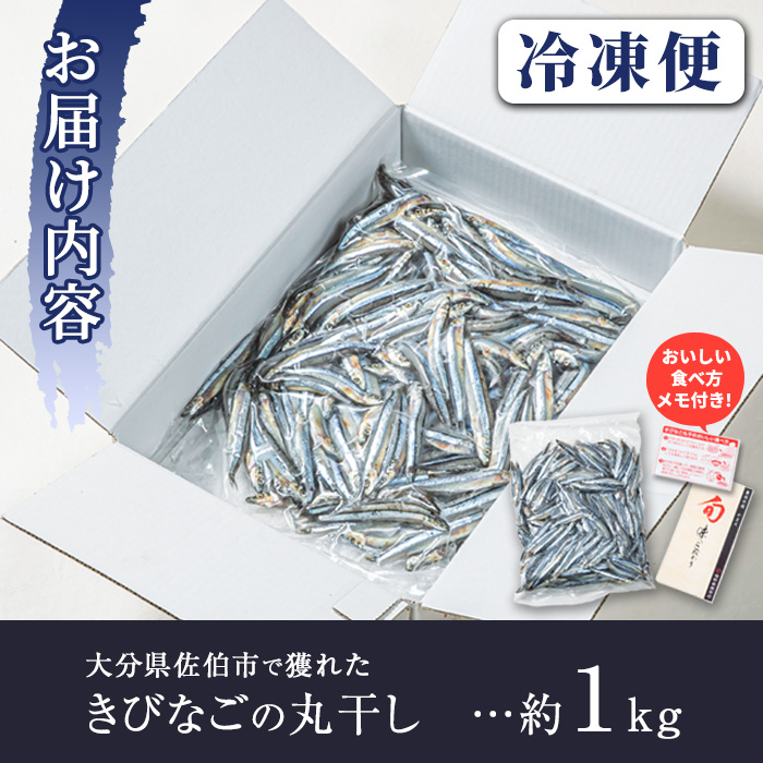 ＜訳あり・業務用＞きびなごの丸干し (計約1kg) 干物 ひもの 唐揚げ フライ 天ぷら 焼き物 お弁当 おかず お酒のおつまみ 大分県 佐伯市 【GH001】【増野善雄商店】