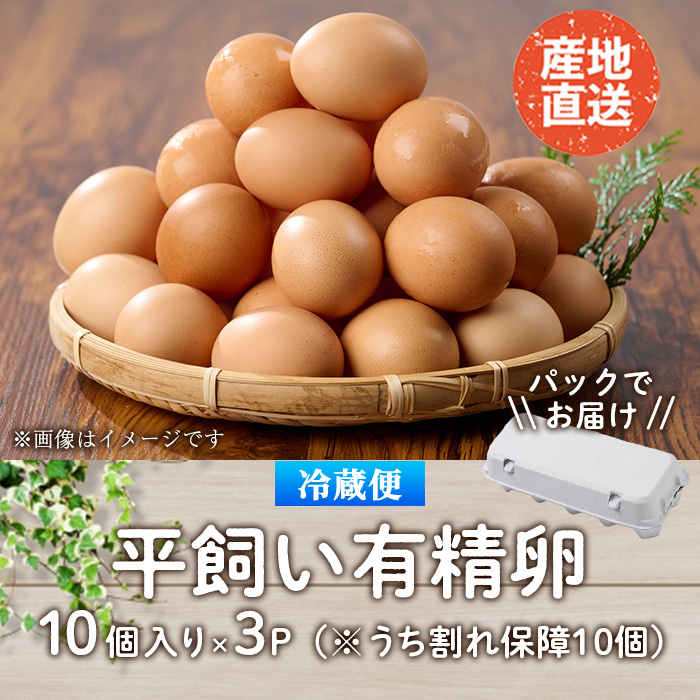 産直・平飼い有精卵  (計30個) 卵 玉子 卵かけご飯 玉子焼き 平飼い 鶏 鶏卵 養鶏場直送 朝採れ 新鮮 大分県 佐伯市 【HM01】【佐伯養鶏場】