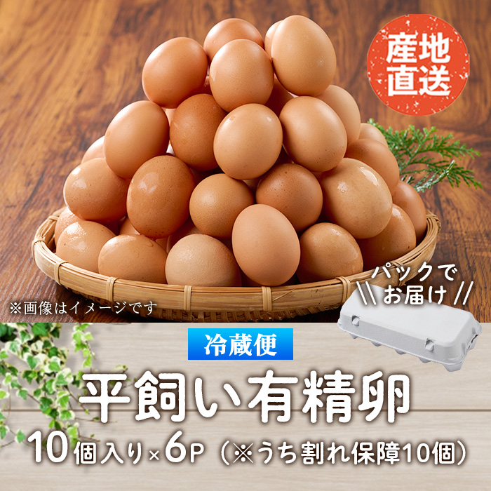 産直・平飼い有精卵  (計60個) 卵 玉子 卵かけご飯 玉子焼き 平飼い 鶏 鶏卵 養鶏場直送 朝採れ 新鮮 大分県 佐伯市 【HM02】【佐伯養鶏場】