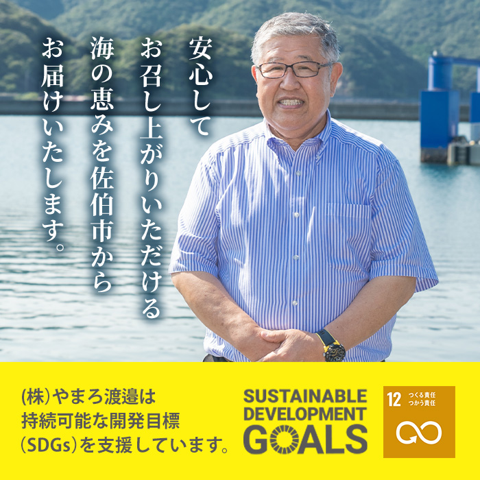 【期間限定・さば切り身2切付】＜定期便・全12回 (毎月)＞訳あり 干物大満足BOX (40尾以上)定期便 簡単 調理 干物 あじ かます さば いわし みりん干し 丸干し 開き 魚 海鮮 冷凍 詰め合わせ セット 大分県 佐伯市【AQ91-G】【やまろ渡邉】