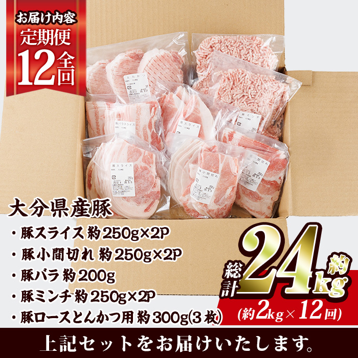 ＜定期便・全12回 (連続)＞ 豚肉 バラエティーパック (総量24kg・5種) 豚バラ しゃぶしゃぶ 鍋 とんかつ ロース 小分け 個包装 豚こま 小間切れ スライス ミンチ セット 詰め合わせ 冷凍 食べ比べ 国産 大分県 佐伯市【BD323】【西日本畜産】
