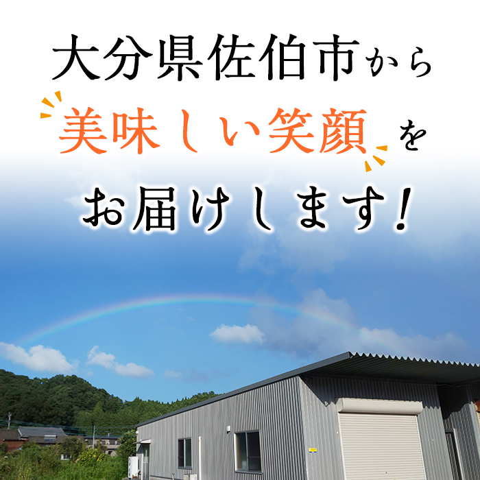 ギフト用品質！九州産ひもの真さばフィレ干物(計10枚・5P) 干物 さば サバ 鯖 サバフィレ 鯖フィレ 冷凍 魚 海鮮 冷凍 小分け ギフト 贈り物 大分県 佐伯市【DH206】【ネクサ】