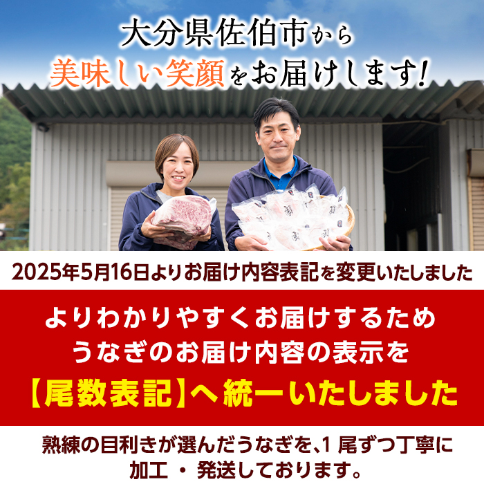 国産 うなぎ蒲焼 無頭(計2尾) ウナギ 鰻 蒲焼き うな重 ひつまぶし タレ 魚 冷凍 大分県 佐伯市【DH259】【(株)ネクサ】