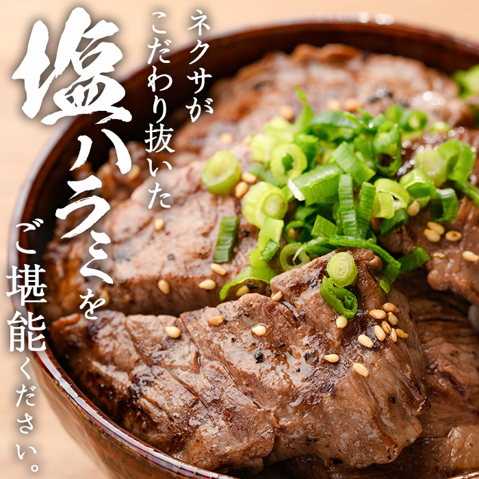 ＜定期便・全6回 (2か月ごとの発送)＞プライム牛 塩ハラミ(総量2.4kg) 定期便 小分け 牛肉 肉 ハラミ 牛はらみ 味付け 焼肉 塩 BBQ 冷凍 大分県 佐伯市【DH322】【ネクサ】