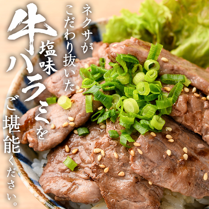 ＜定期便・全12回 (毎月の発送)＞塩味 牛ハラミ(総量7.2kg) 定期便 小分け 牛肉 肉 ハラミ 牛はらみ 味付け 焼肉 塩 BBQ 冷凍 大分県 佐伯市【DH326】【ネクサ】