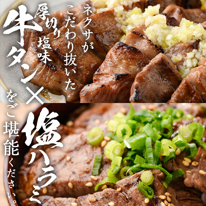 ＜定期便・全12回 (毎月の発送)＞ 特選 牛タン ・ 牛ハラミ セット (総量9.6kg) 定期便 小分け 牛肉 肉 タン 牛たん ハラミ 牛はらみ 詰め合わせ 味付け 焼肉 塩 BBQ 冷凍 大分県 佐伯市【DH329】【ネクサ】