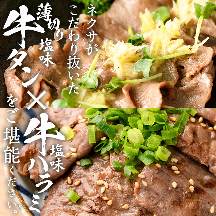 ＜定期便・全6回 (2か月ごとの発送)＞ たっぷり！ 薄切り 塩 牛タン・牛ハラミ セット (総量7.2kg) 小分け 牛肉 肉 タン たん ハラミ はらみ 詰め合わせ 味付け 焼肉 BBQ 冷凍 大分県 佐伯市【DH331】【ネクサ】