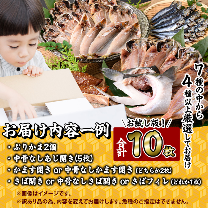 ＜訳あり＞ 厳選 干物 お試し版 (総量10枚) 簡単 調理 干物 あじ かます さば ぶり ぶりかま 開き 魚 海鮮 冷凍 詰め合わせ 大分県 佐伯市 やまろ渡邉【DL33】【鶴見食賓館】