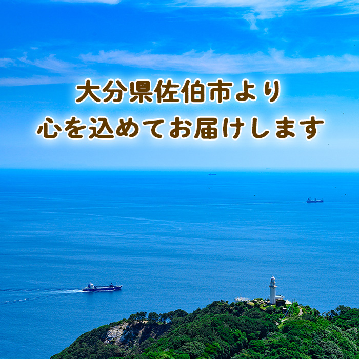 大分県産 かぼす果汁(1.8L×2本) 果汁 カボス果汁 100％ 調味料 ビン 柑橘 大分県産 特産品 大分県 佐伯市 常温 常温保存【DT11】【全国農業協同組合連合会大分県本部】