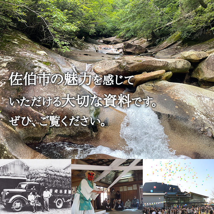 佐伯市誌 上・中・下巻 (全3巻)【佐伯市教育委員会社会教育課】【HR01】