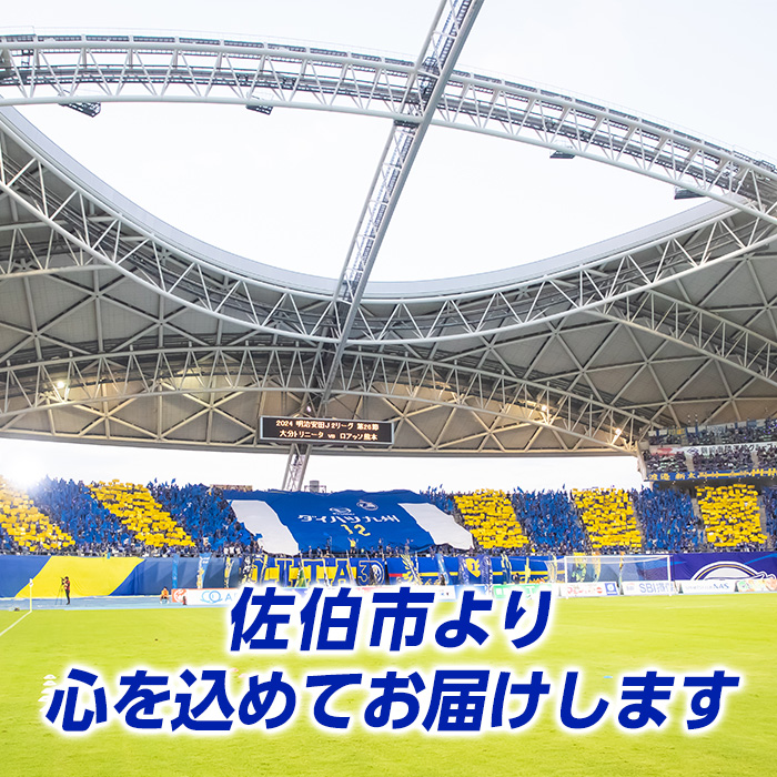 大分トリニータ 公式 マスコット ぬいぐるみ メガニータン (1個・高さ約150cm) 大分トリニータ Jリーグ サッカー キャラクター グッズ trinita 【HS008】【大分フットボールクラブ】