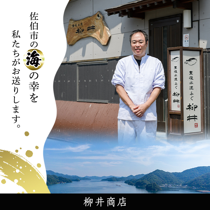 ＜定期便・全6回 (連続)＞とらふぐ刺身 (総量約1kg・2-3人用×6回) とらふぐ ふぐ フグ ふぐ刺し フグ刺し ふぐ刺身 フグ刺身 刺身 鮮魚 冷凍 養殖 国産 大分県 佐伯市【AB202】【柳井商店】