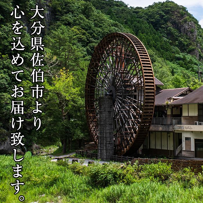 因尾茶 ティーバッグ (計66個・22個入×3袋) お茶 緑茶 茶 ティーバッグ 釜炒り 因尾茶 特産品 お取り寄せ 大分県 佐伯市【AH67】【(有)きらり】