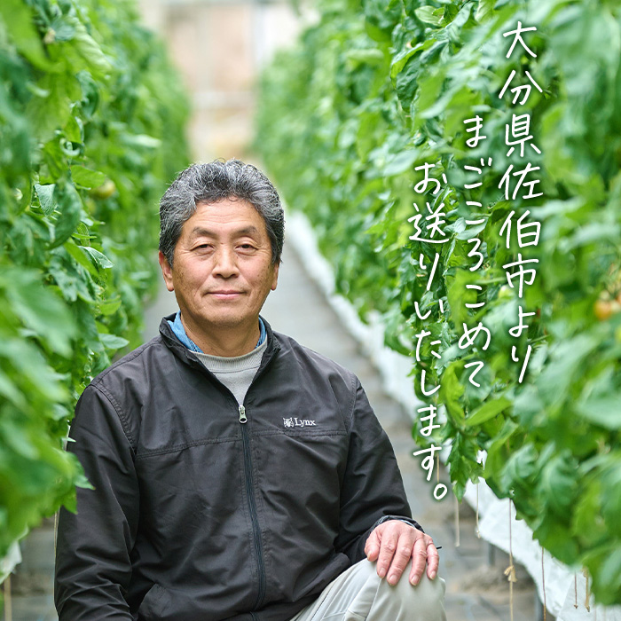 ＜先行予約受付中！2026年4月より順次発送予定＞塩熟トマト KitachiRosso (計600g) 糖度10度以上 塩トマト 塩とまと とまと トマト 野菜 大分県 佐伯市 九州産 国産 お取り寄せ 大分県 佐伯市【AK6i】【げんきファーム】