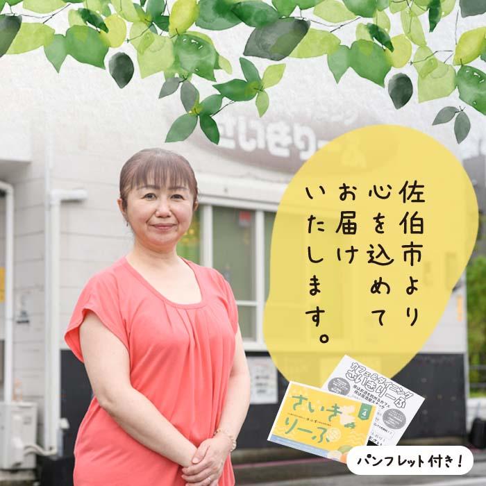 ＜定期便・全４回 (3ヶ月ごと)＞ 佐伯の干物食べくらべセット 3ヶ月ごと 干物セット ひもの 鯵 あじ アジ うるめいわし かます 開き ひらき 丸干し みりん干し 魚 海鮮 冷凍 詰め合わせ セット 【AL92】【さいきりーふ】