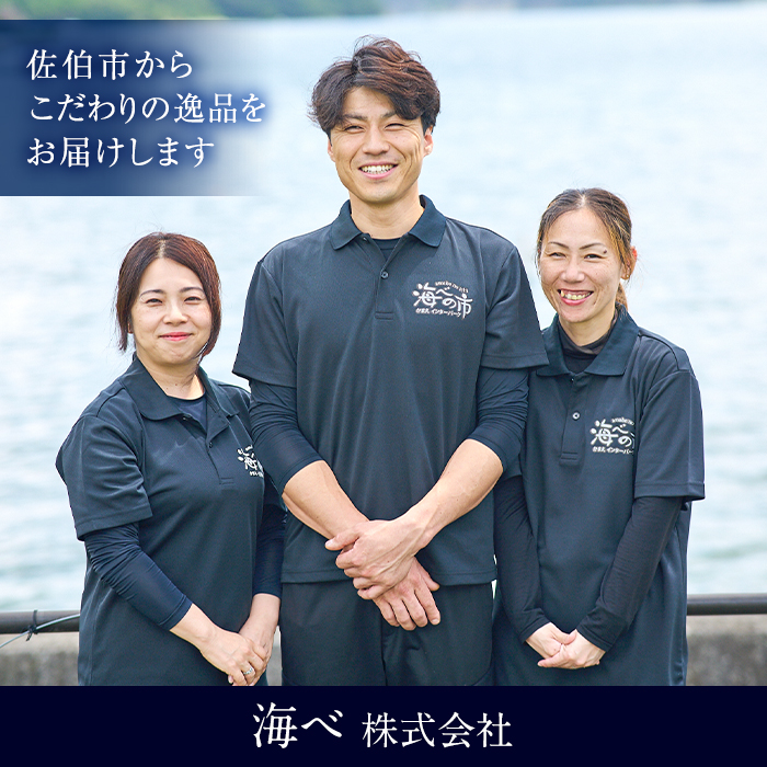 ＜お試し用＞あつめし (計160g・80g×2袋) あつめし 海鮮 りゅうきゅうブリ 漬け丼 魚 惣菜 おつまみ 海の直売所 【AS124】【海べ (株)】