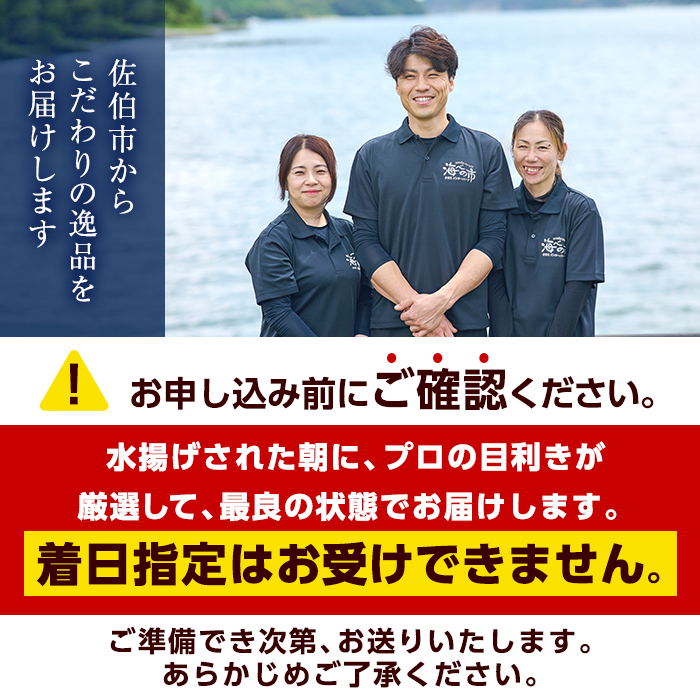 カンパチ 刺身用 ブロック 冷蔵(約400-500g・4-5人前) カンパチ かんぱち 神経締め 獲れたて 鮮魚 ブロック 刺身 冷蔵 海の直売所 大分県 佐伯市【AS132】【海べ (株)】