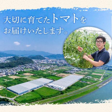 フルーツトマト 朱々 Lサイズ (計1kg・12-14玉) L 高糖度 糖度 フルーツトマト トマト 野菜 サラダ 大分県 佐伯市 九州産 国産 大分県 佐伯市【CH62】【サニープレイス】