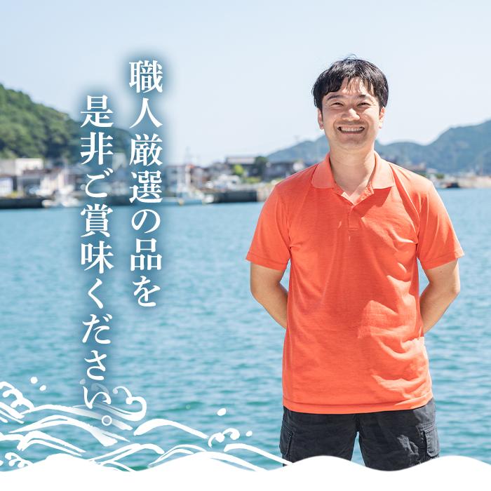 職人厳選干物セット (約7種) 干物 あじ 鯵 さば 鯖 丸干し みりん干し 開き 魚 海鮮 冷凍 詰め合わせ セット 大分県 佐伯市 【CL62】【(有)ヤマク海産】